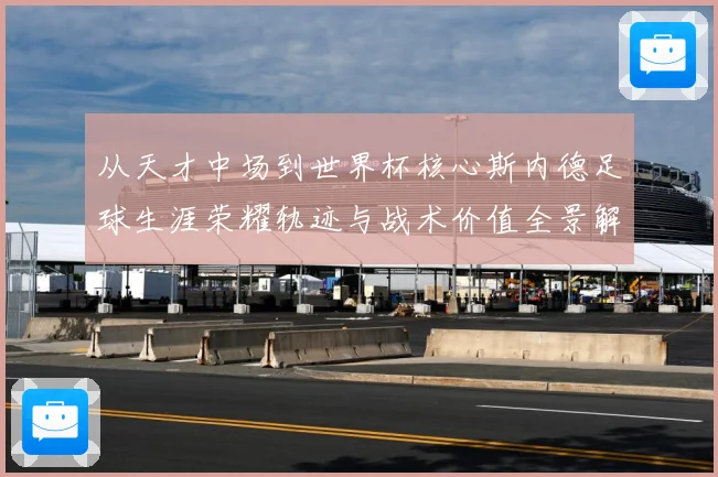 从天才中场到世界杯核心斯内德足球生涯荣耀轨迹与战术价值全景解读