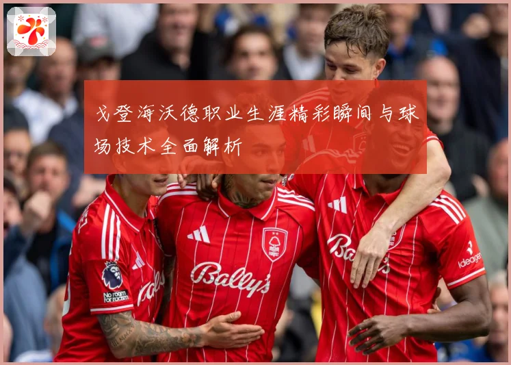 戈登海沃德职业生涯精彩瞬间与球场技术全面解析